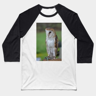 Barn Owl Baseball T-Shirt